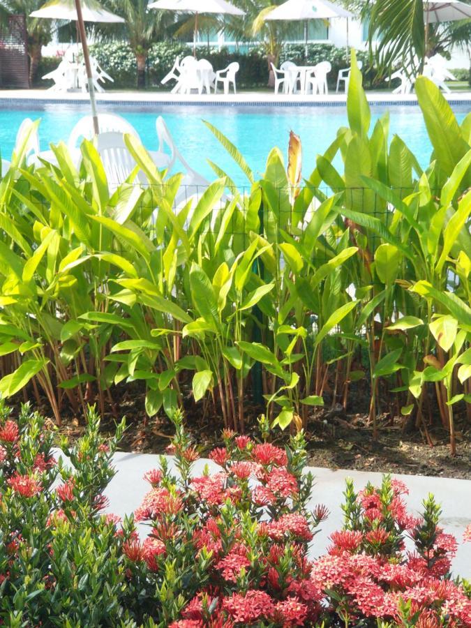 Palm Village Acqua - Apartamento Premium - Em Frente A Piscina - Порту-де-Галиньяш Экстерьер фото